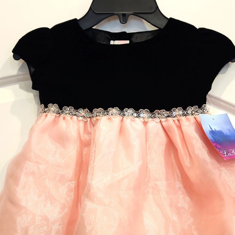 La Princess Dress size 24M